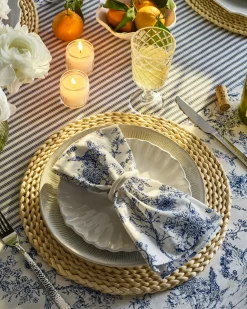 Petite Plume Signature Twill Napkins in Navy French Ticking